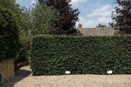 Two Rose Walk Cottage Cotswolds Moreton-in-Marsh المظهر الخارجي الصورة